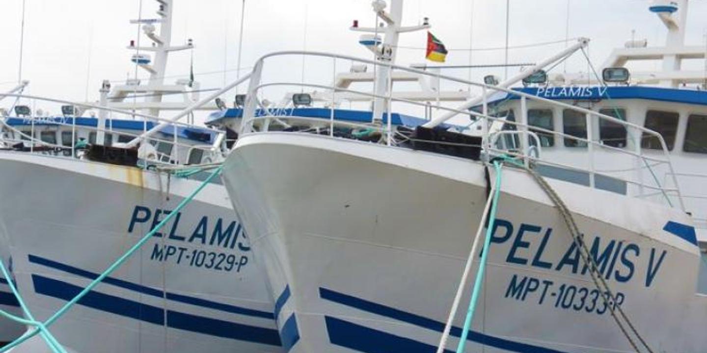 de cherbourg a maputo les millions disparus de la compagnie mozambicaine de thon