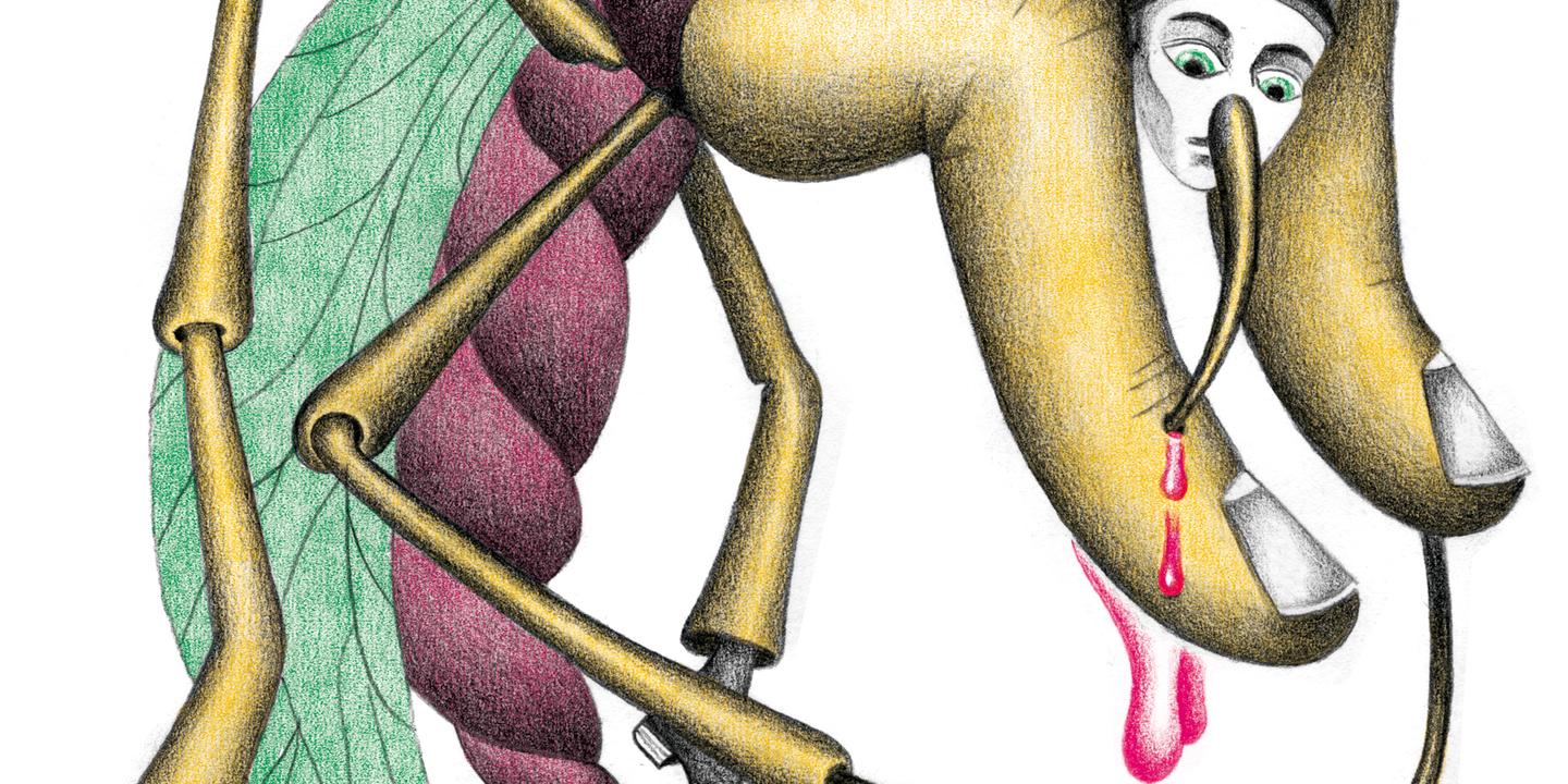 la memoire delirante de la fievre jaune