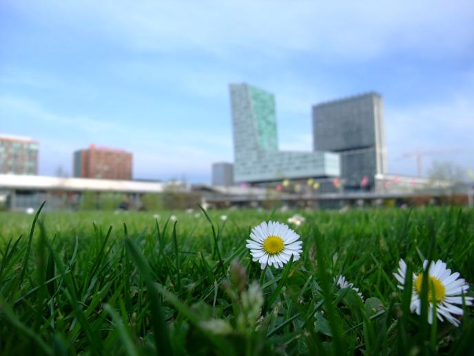 Les Bons Plans Gratuits Pour Passer L Ete A Lille Et Ses Environs