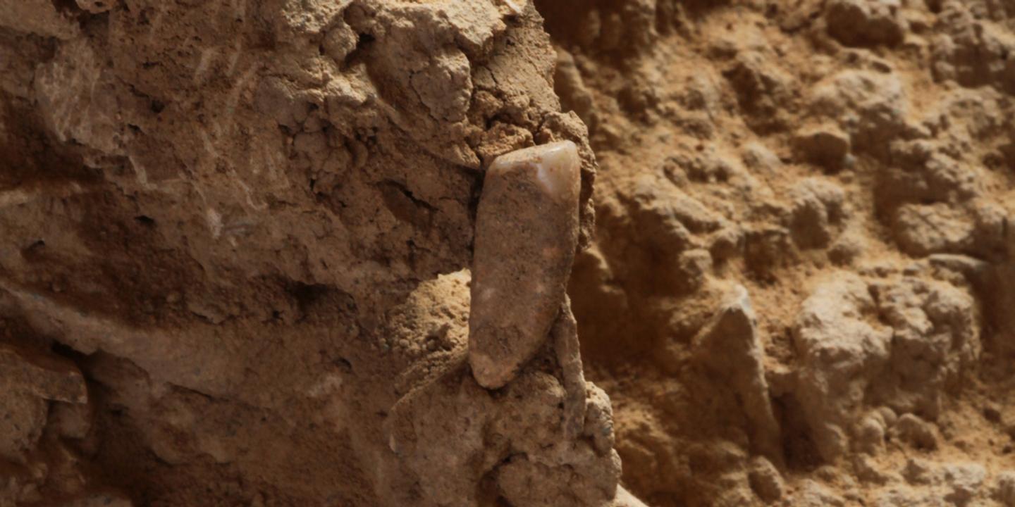 Une Dent Humaine Vieille D Environ 550 000 Ans Decouverte Dans Les Pyrenees Orientales