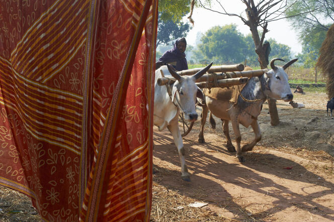 Dans un village spécialisé dans le tissage de la soie, près de Jangipur, dans l’Etat du Bengale-Occidental.