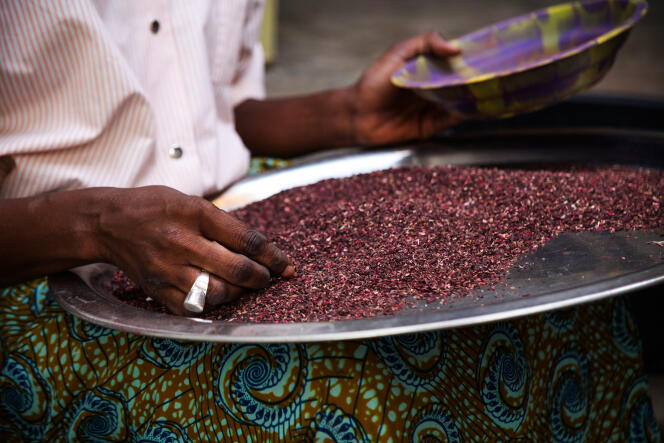 Une femme d'une entreprise intégrée à une plateforme numérique qui prépare l'hibiscus, à Dakar.