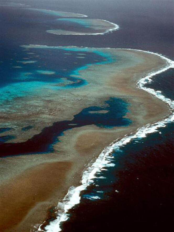 L’acide carbonique élève le taux d’acidité des océans. Cela dissout les coquillages des coraux, entraînant la mort des récifs coralliens, qui sont à la fois des aires de reproduction et de nourricerie majeures de la faune marine, et des zones de protection des littoraux tropicaux et subtropicaux contre les vagues et les tsunamis (Photo: Grande barrière de corail au nord-est de la côte australienne, de Cap York à Bundaberg).