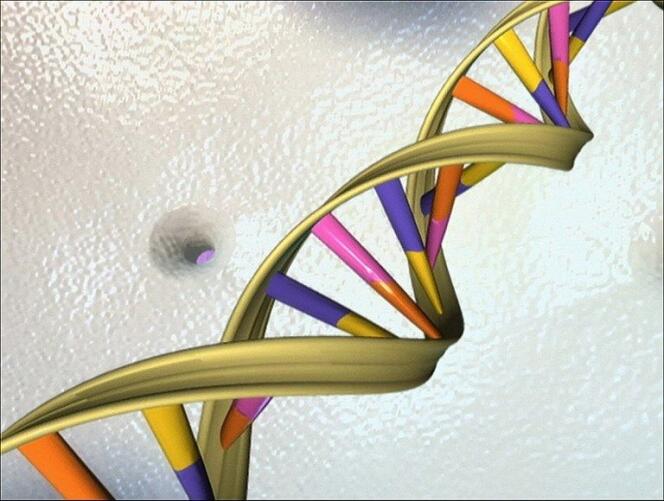 Illustration de la double hélice de l'ADN.