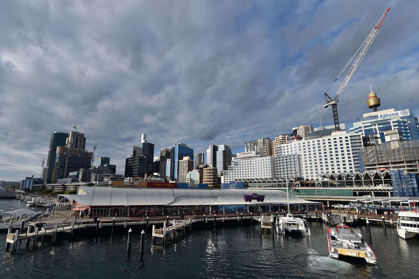 Australië wordt in meerdere havens geconfronteerd met een ‘groot cyberveiligheidsincident’