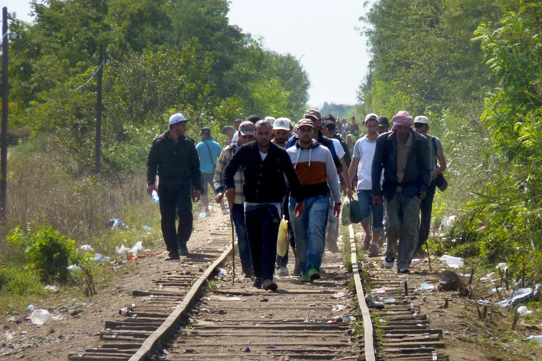 Delphine Roucaute/Le Monde Un groupe de migrants qui vient de pénétrer en Hongrie remontent une ligne de chemin de fer.