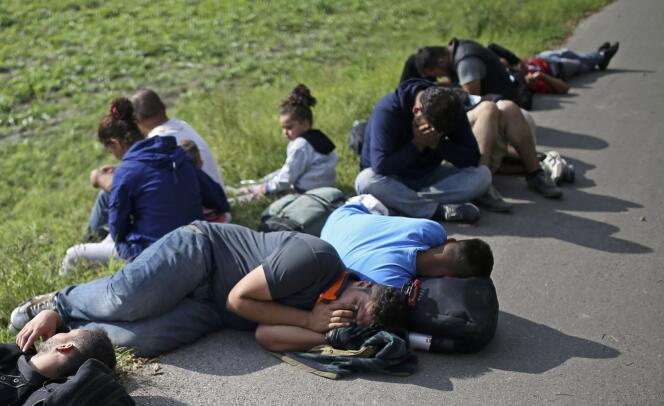 Des migrants qui viennent de passer la frontière sont arrêtés à Morahalom, en Hongrie, le 15 septembre.