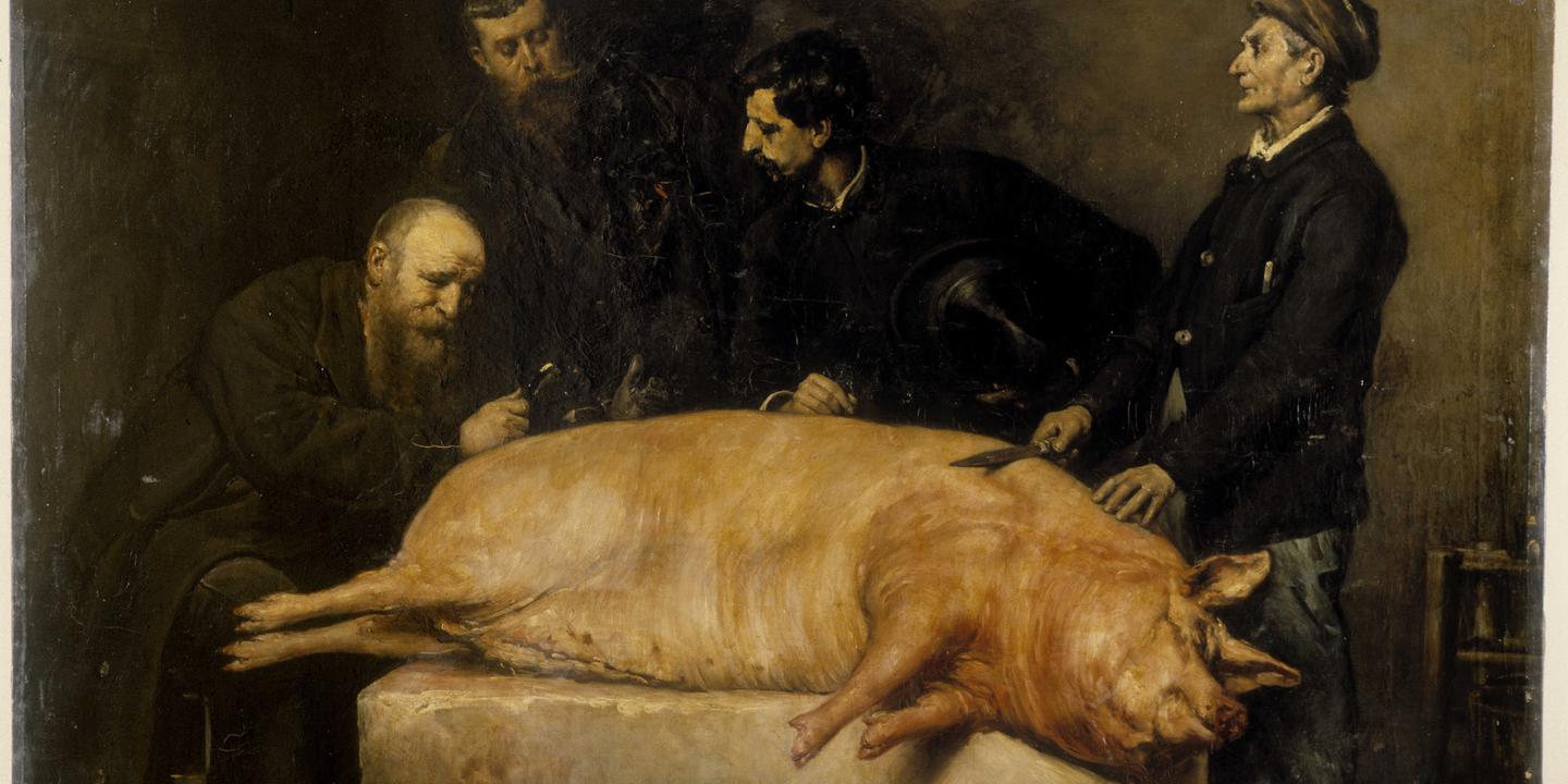 Le Cochon Un Mythe Sur Le Gril