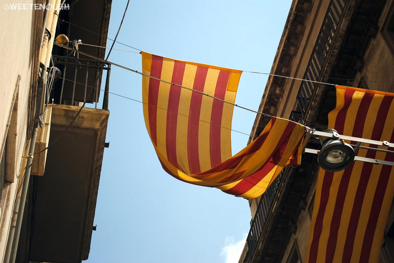 La Senera és una de les banderes més antigues d'Europa i daten del segle IX.'un des drapeaux les plus anciens d'Europe et date du IXe siècle.