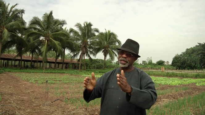 Godfrey Nzamujo, descendant d'esclaves, père dominicain, ingénieur, et fondateur des centres Songhaï qui révolutionnent l'agriculture en Afrique.