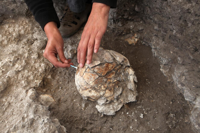 Exhumation d'un crâne, daté de 6500 av. J.-C., sur le site mésolithique de la Haute-Ile (Seine-Saint-Denis).
