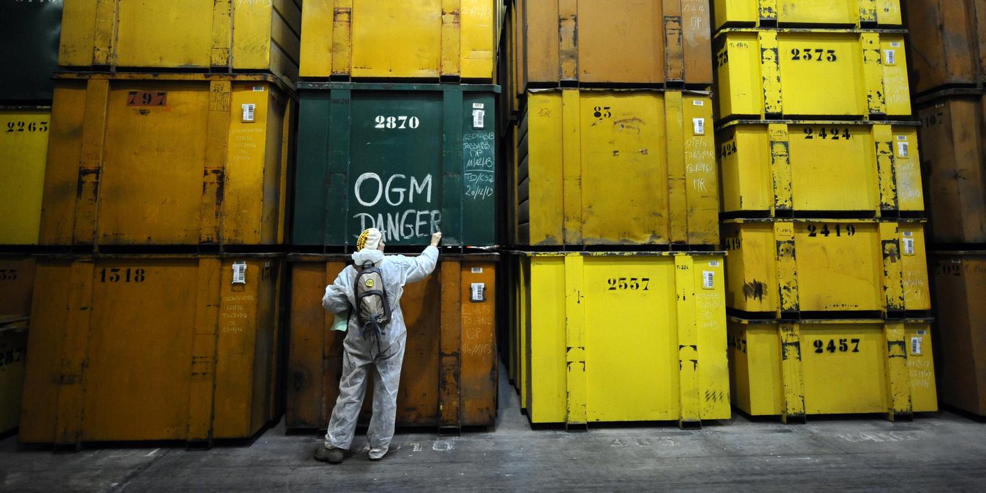 Mon 810 Pourquoi le maïs transgénique MON810 de Monsanto restera interdit en France