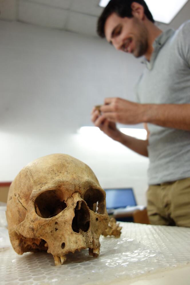 Le doctorant William Berthon analyse des pièces d'ossements pour y détecter d'éventuelles traces de pathologies.