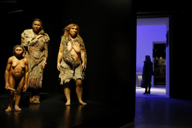 Des modèles représentants (à partir de la gauche) une femme de Flores, une Homo Sapiens et une Neanderthal au 