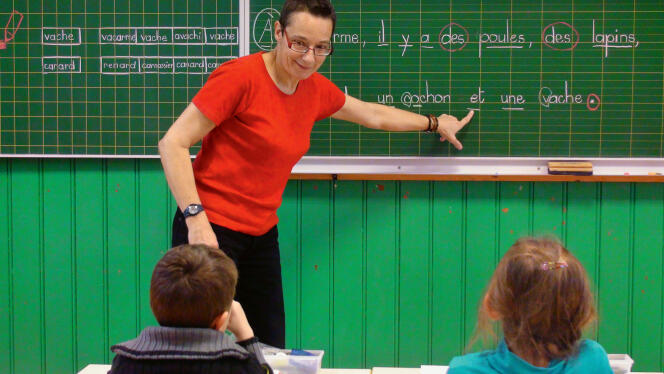 Pascale Pocard a tout d'abord enseigné en primaire avant de devenir conseillère pédagogique dans les Vosges, où son enseignement est expérimenté.