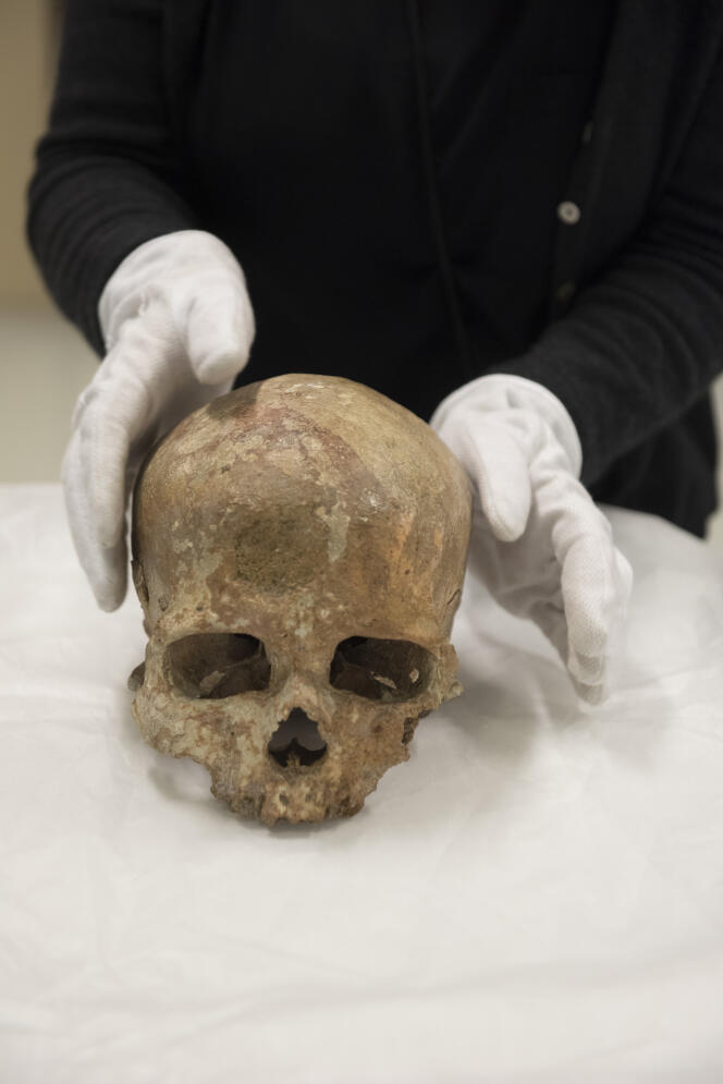 Le crâne de Cro Magnon 1.