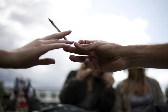 18 de junio de 2011 en el Parc de La Villette, en París.