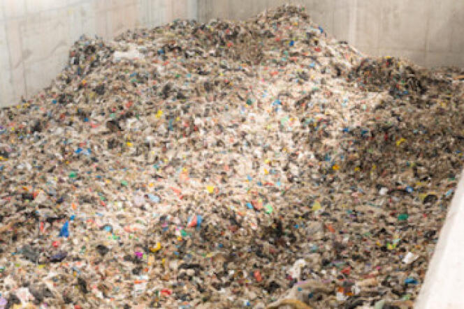Plusieurs écoles ou universités proposent désormais des cursus consacrés à l’environnement et au traitement des déchets.