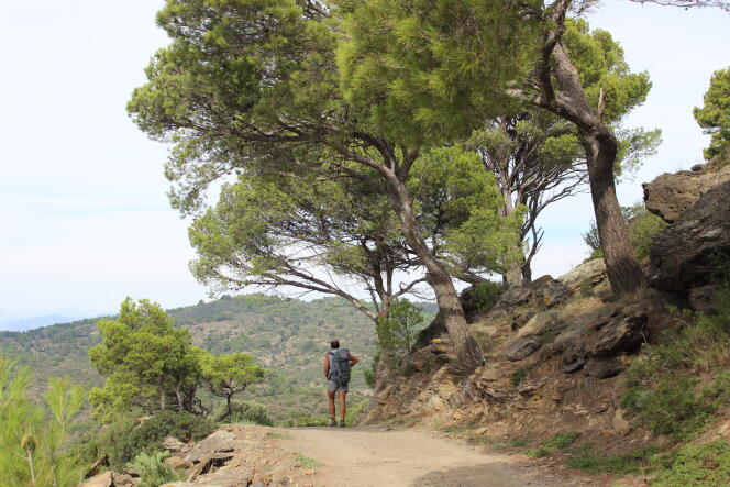 Dans le parc naturel du Cap de Creus, entre Port de la Selva et Cadaqués.