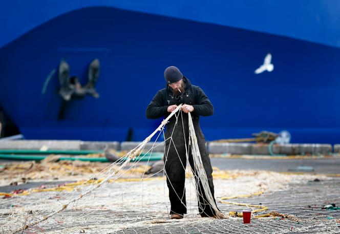 Dans le port de pêche de Portland, le 28 octobre.