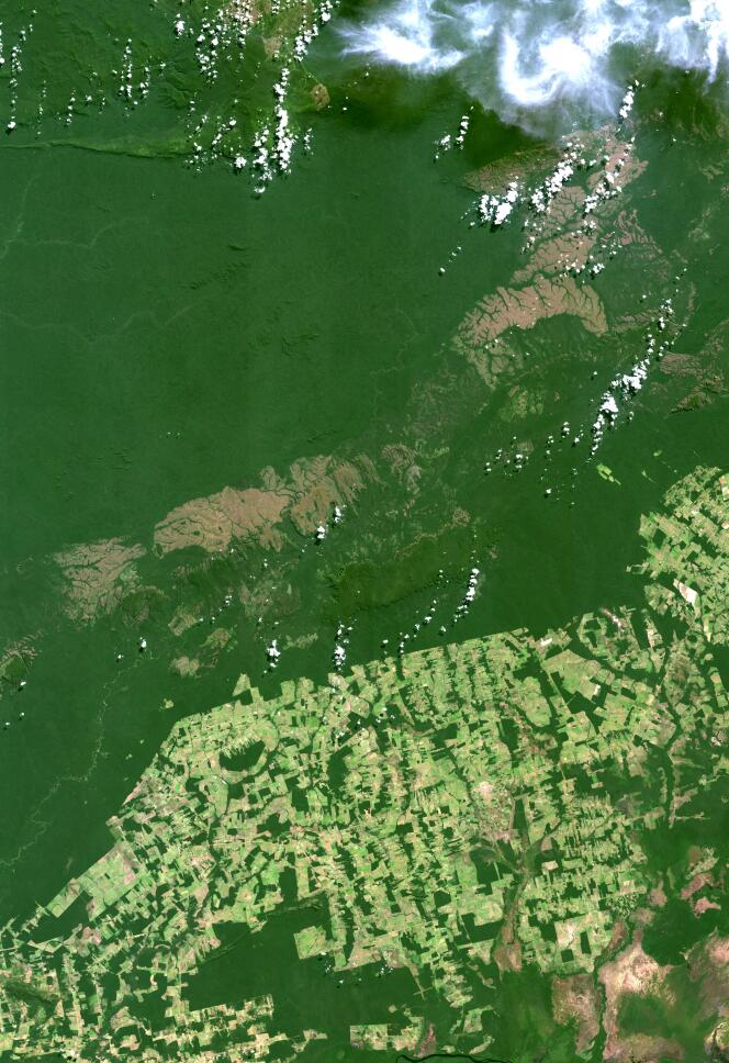 Vue satellite de l’Ouest du Brésil, qui témoigne de la déforestation amazonienne en août 2014
