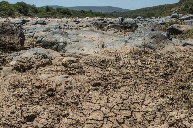 Le lit asséché de la rivière Mfolozi à Ulundi, en Afrique du Sud, le 9 novembre.