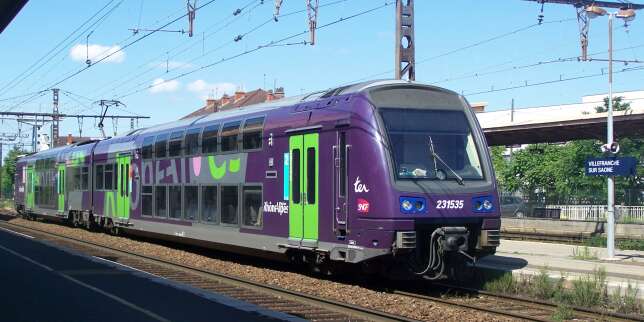 Intempéries : un train bloqué par un éboulement près de Lyon
