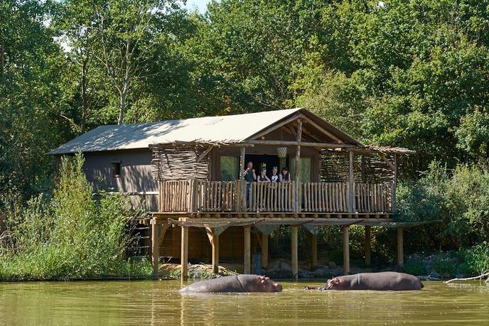 Au PAL, ce lodge sur pilotis offre une proximité unique avec les hippopotames.