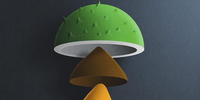 Les Ressources Insoupconnees De La Chataigne