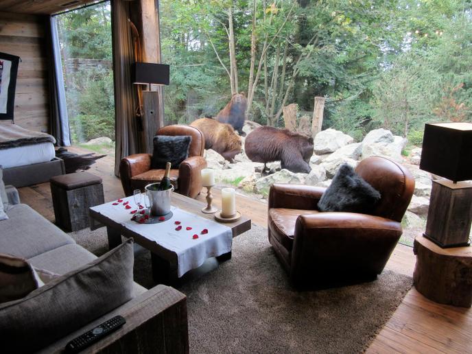Au zoo de La Flèche, le lodge Yukon et ses Grizzly