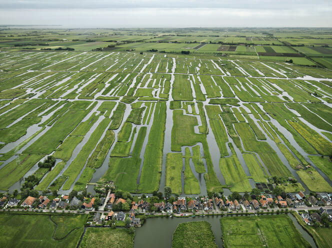 Pays-Bas, 2011. Les polders de Grootschermer (Hollande-Septentrionale).