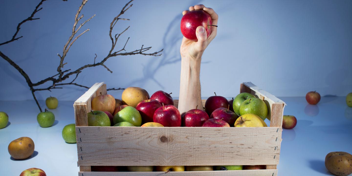 la pomme story resiste aux maladies