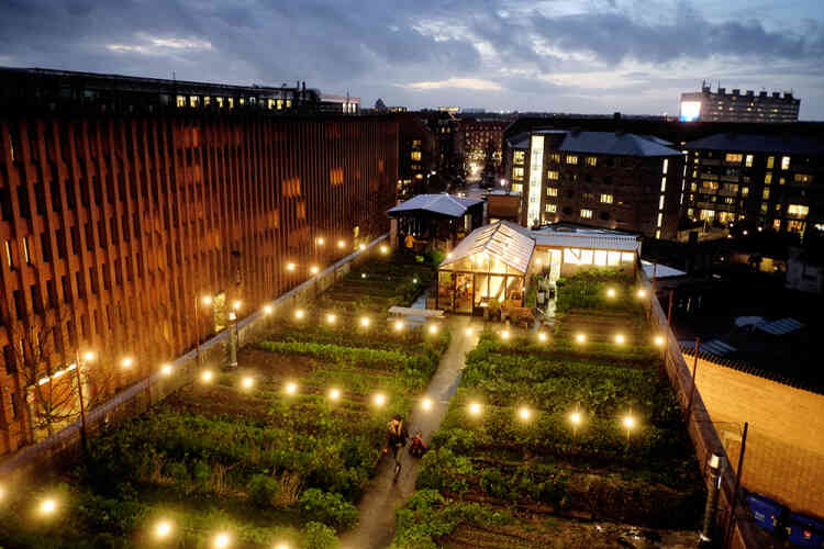 Il y a de plus en plus de jardins urbains. L'environnement et le développement durable font partie de la vie quotidienne des danois.