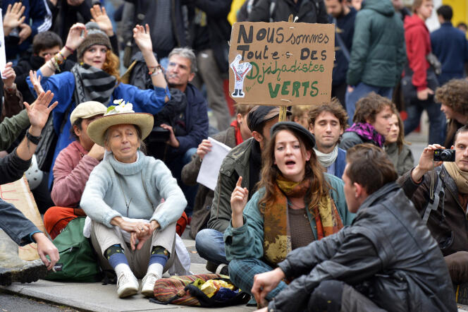 Durant une manifestation en souvenir de Rémi Fraisse le 22 novembre 2014 à Nantes.