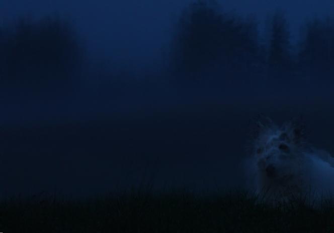 « L’Etrangère », « Europe », Antonio Rodriguez. Trans|Poésie, la ...