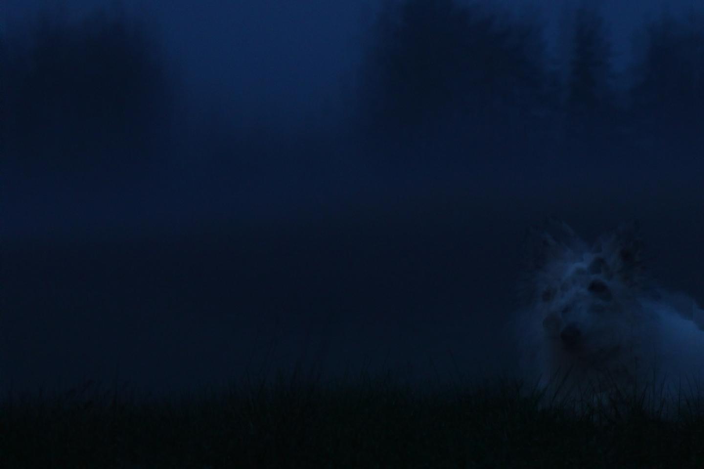 « L’Etrangère », « Europe », Antonio Rodriguez. Trans|Poésie, la ...