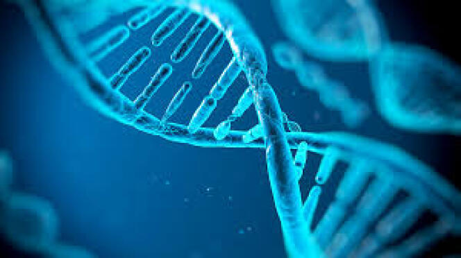 ADN humain.