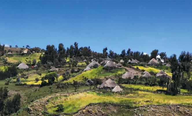 Le village de Gich, dans le parc national des Simien, en Ethiopie, compte environ mille habitants. Au nom de la sauvegarde de la biodiversité, la majorité de la population a été déplacée en 2015, et les derniers habitants ont jusqu'au mois d'avril 2016 pour quitter leur village.