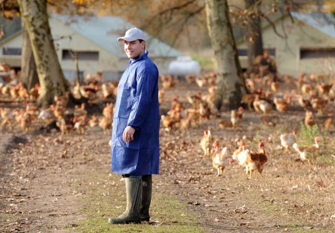 Une exploitation aviaire à Vielle-Soubiran, dans le sud-ouest de la France, le 10 décembre 2015.