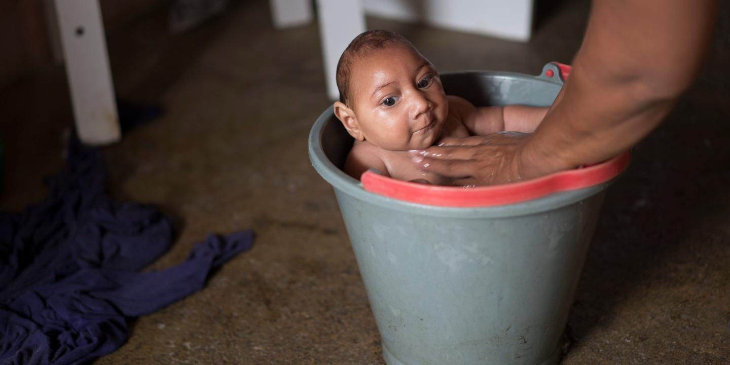 Zika Le Virus Qui Menace Les Bebes Bresiliens Zika Le Virus Qui Menace Les Bebes Bresiliens