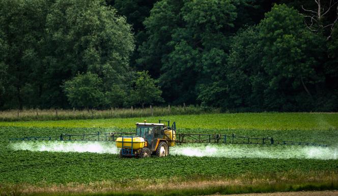 Un agriculteur arrose son champ de pesticides le 15 juin à Bailleul.