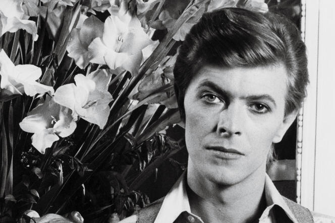 David Bowie, le 6 juin 1977.