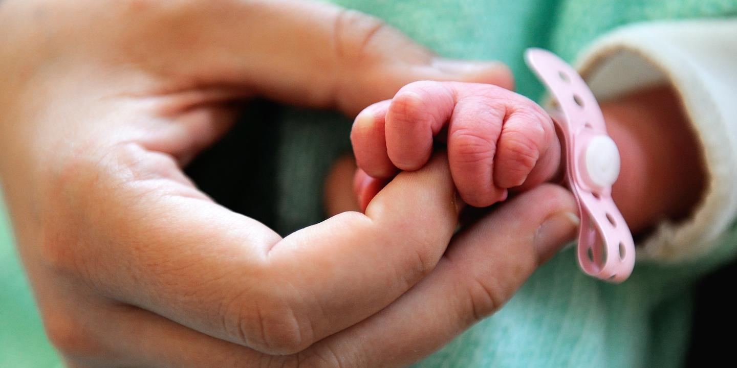 L Hygiene De L Hopital De Cayenne En Question Apres La Mort De Cinq Prematures En Trois Mois L Hygiene De L Hopital De Cayenne En Question Apres La Mort De Cinq Prematures En Trois Mois