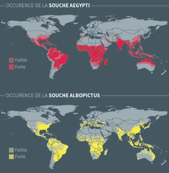Présence du virus Zika sur la planète.