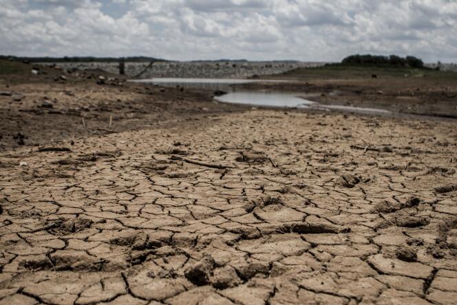 Le Zimbabwe est particulièrement touché par la sécheresse. Ici, le 7 février dans le sud du pays.