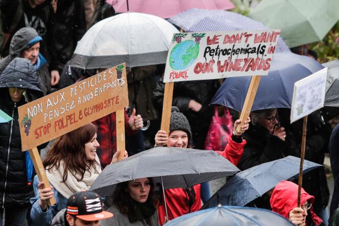Des manifestants défilent dans les rues de Bordeaux contre l’utilisation des pesticides et des organismes génétiquement modifiés, en février 2016.