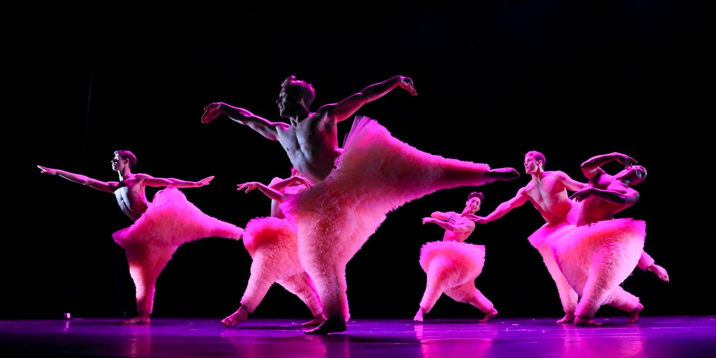 Reprise Le Tutu Des Chicos Mambo A Bobino