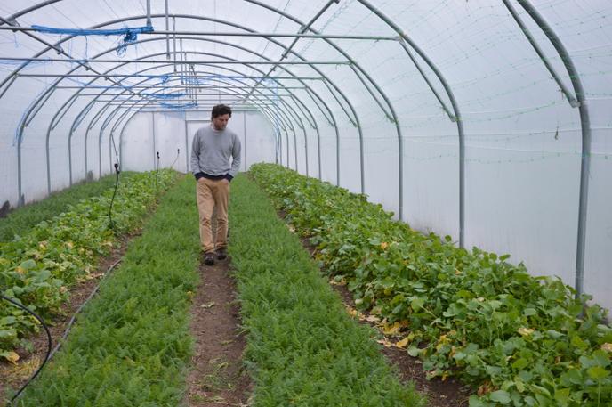 Un jeune entrepreneur qui veut prouver que l’agroécologie est plus rentable que l’agriculture conventionnelle, à Montlouis-sur-Loire, en 2016.