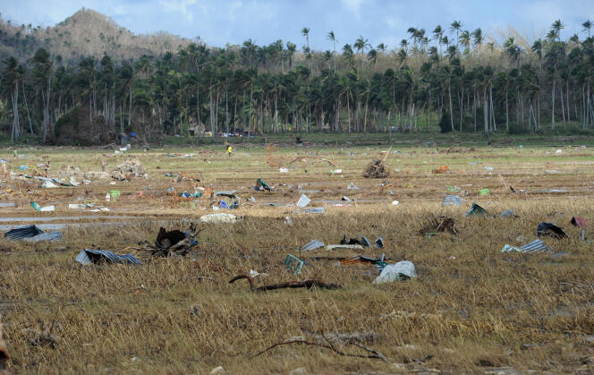 Des morceaux de tôle éparpillés dans une rizière près de Hernani (Philippines), après le passage dévastateur du typhon Haiyan, le 18 novembre 2013.