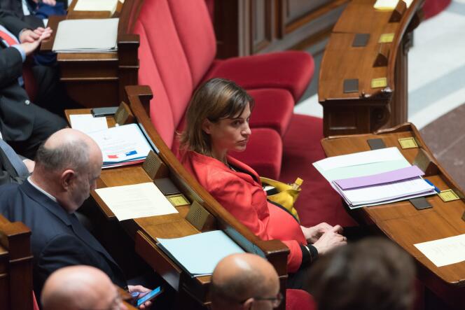 La secrétaire d’Etat auprès du premier ministre, chargée de l’aide aux victimes, Juliette Méadel, à l'Assemblée nationale.
